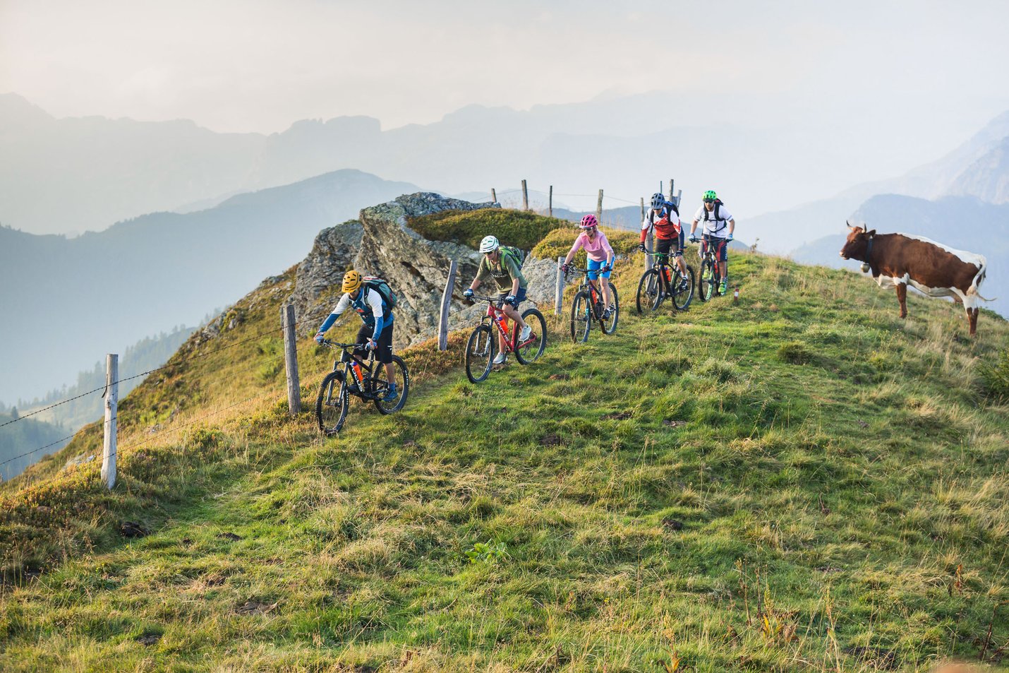 Bike tours in flachau